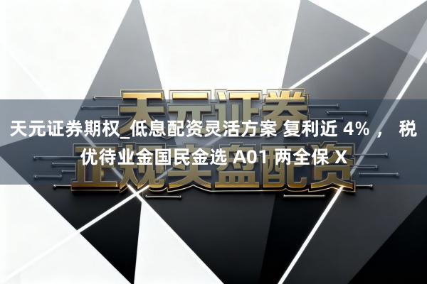 天元证券期权_低息配资灵活方案 复利近 4% ， 税优待业金国民金选 A01 两全保 X
