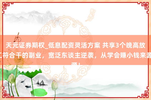 天元证券期权_低息配资灵活方案 共享3个晚高放工符合干的副业，宽泛东谈主逆袭，从学会赚小钱来源！