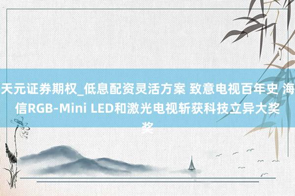 天元证券期权_低息配资灵活方案 致意电视百年史 海信RGB-Mini LED和激光电视斩获科技立异大奖
