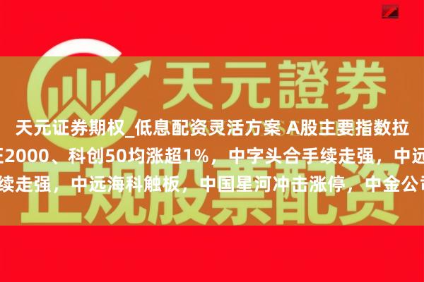 天元证券期权_低息配资灵活方案 A股主要指数拉升！中证1000、中证2000、科创50均涨超1%，中字头合手续走强，中远海科触板，中国星河冲击涨停，中金公司、中国联通发力