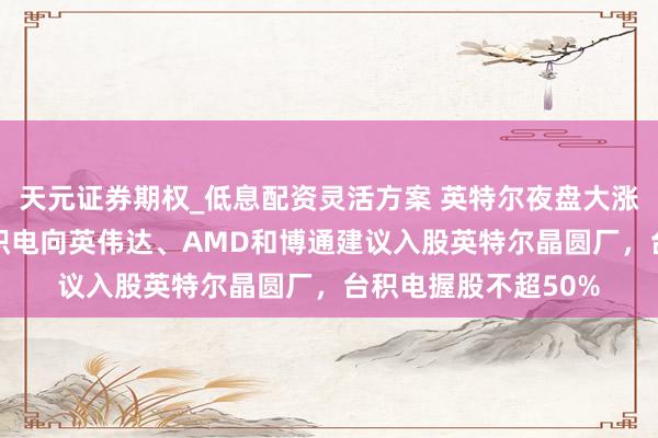 天元证券期权_低息配资灵活方案 英特尔夜盘大涨超13%！讯息称台积电向英伟达、AMD和博通建议入股英特尔晶圆厂，台积电握股不超50%