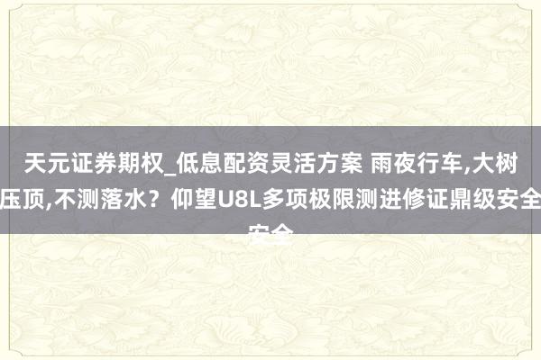 天元证券期权_低息配资灵活方案 雨夜行车,大树压顶,不测落水?仰望U8L多项极限测进修证鼎级安全