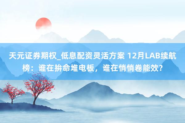 天元证券期权_低息配资灵活方案 12月LAB续航榜：谁在拚命堆电板，谁在悄悄卷能效？