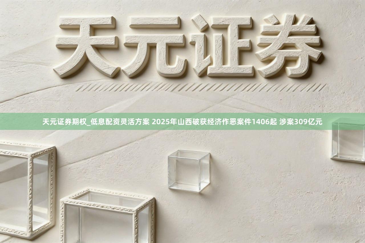 天元证券期权_低息配资灵活方案 2025年山西破获经济作恶案件1406起 涉案309亿元