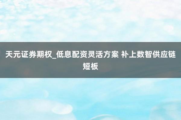 天元证券期权_低息配资灵活方案 补上数智供应链短板