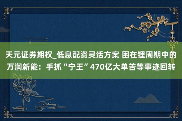 天元证券期权_低息配资灵活方案 困在锂周期中的万润新能：手抓“宁王”470亿大单苦等事迹回转