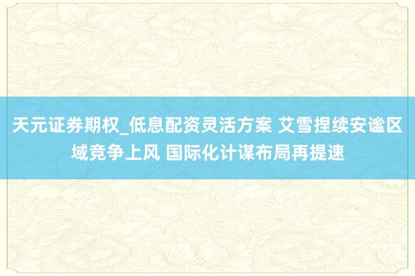 天元证券期权_低息配资灵活方案 艾雪捏续安谧区域竞争上风 国际化计谋布局再提速