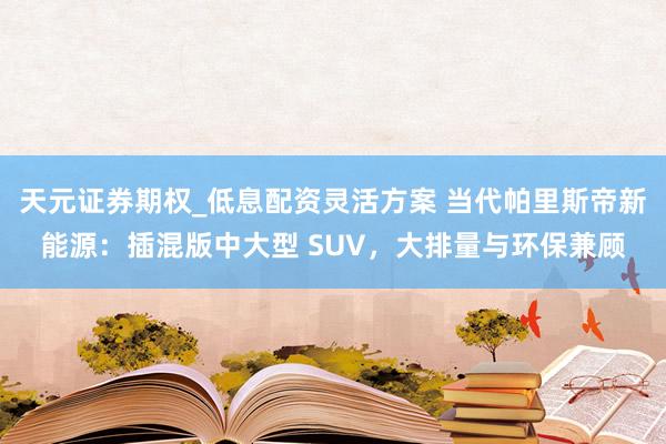 天元证券期权_低息配资灵活方案 当代帕里斯帝新能源：插混版中大型 SUV，大排量与环保兼顾