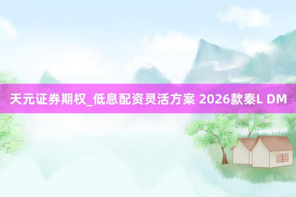 天元证券期权_低息配资灵活方案 2026款秦L DM