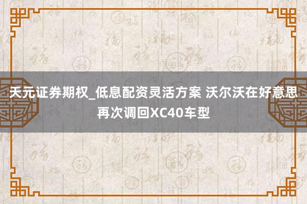 天元证券期权_低息配资灵活方案 沃尔沃在好意思再次调回XC40车型