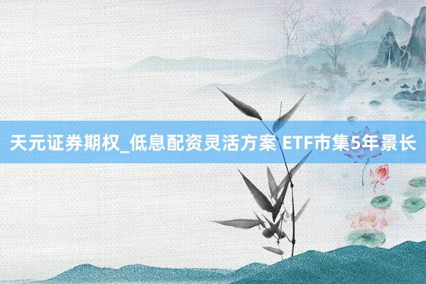 天元证券期权_低息配资灵活方案 ETF市集5年景长