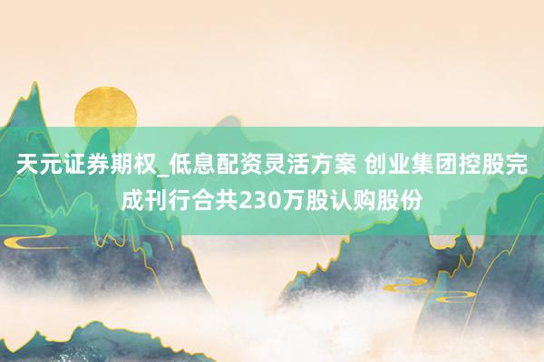 天元证券期权_低息配资灵活方案 创业集团控股完成刊行合共230万股认购股份
