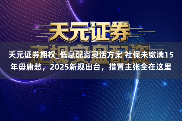 天元证券期权_低息配资灵活方案 社保未缴满15年毋庸愁，2025新规出台，措置主张全在这里