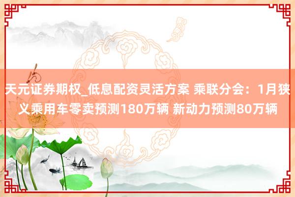 天元证券期权_低息配资灵活方案 乘联分会：1月狭义乘用车零卖预测180万辆 新动力预测80万辆