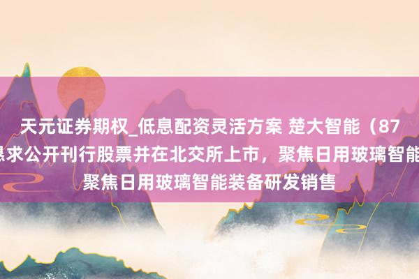天元证券期权_低息配资灵活方案 楚大智能（874280）：拟恳求公开刊行股票并在北交所上市，聚焦日用玻璃智能装备研发销售