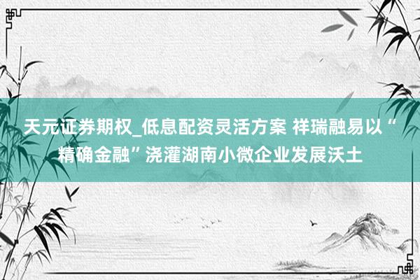 天元证券期权_低息配资灵活方案 祥瑞融易以“精确金融”浇灌湖南小微企业发展沃土